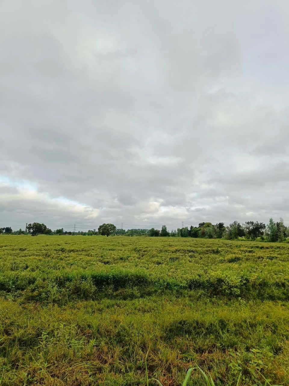 Bheema, Mathura, Uttar Pradesh 281204, India