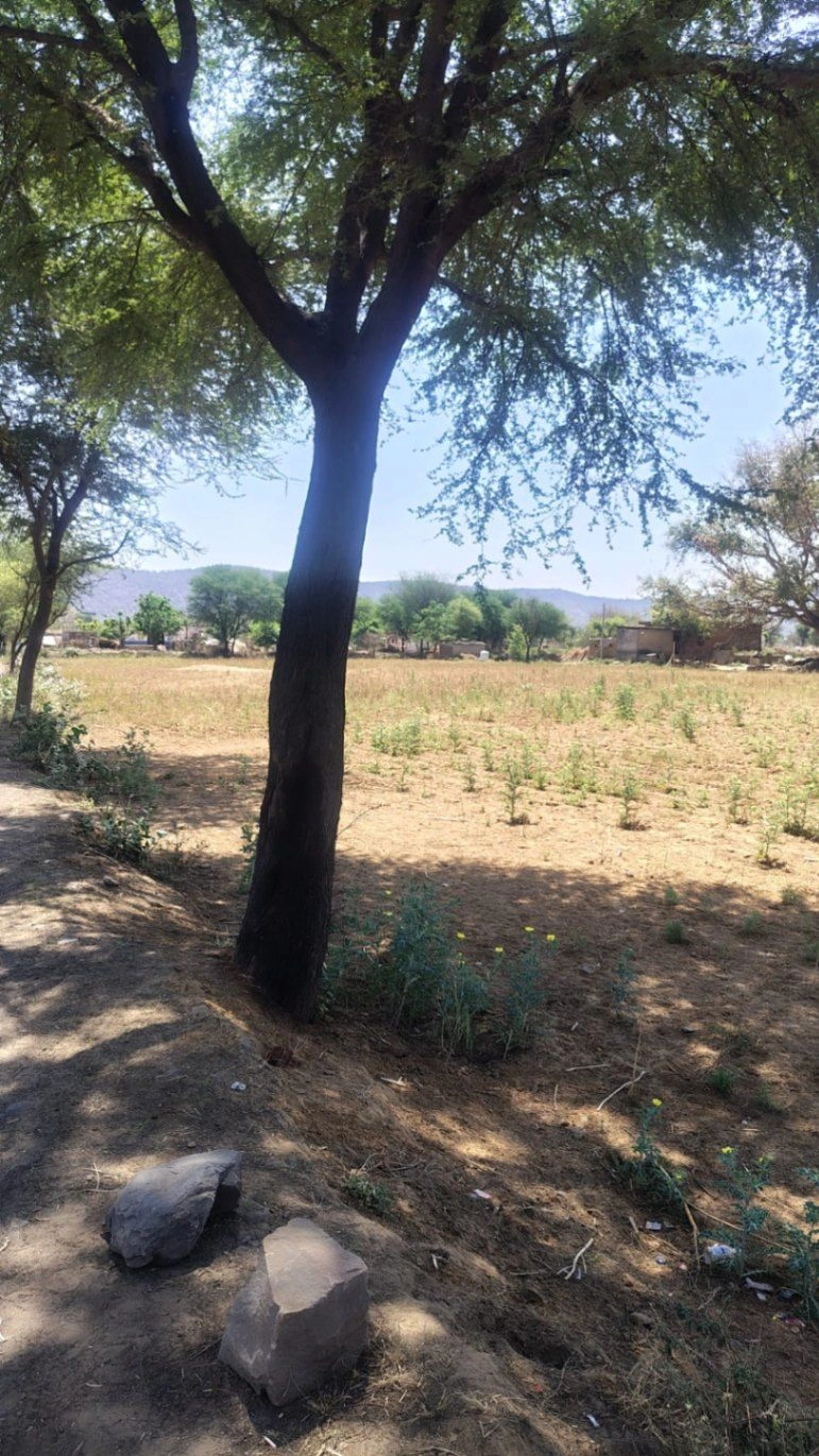 Pinan, Rajasthan, India