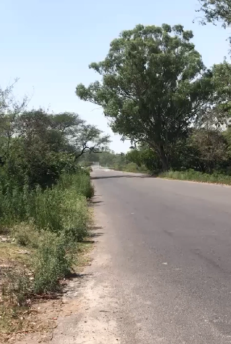 8M5V+MQH, Vill, Kuther, Siyonti, Punjab 145001, India