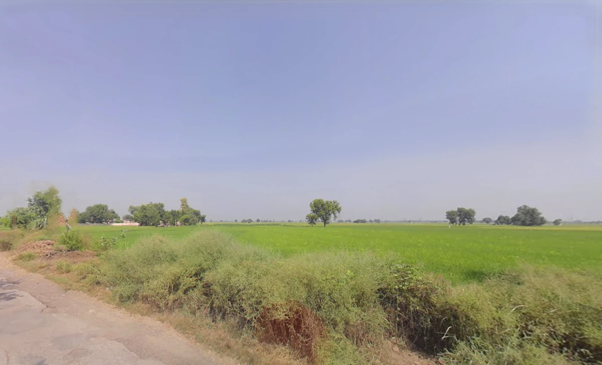 Hizarawan Khurd, Haryana 125050, India