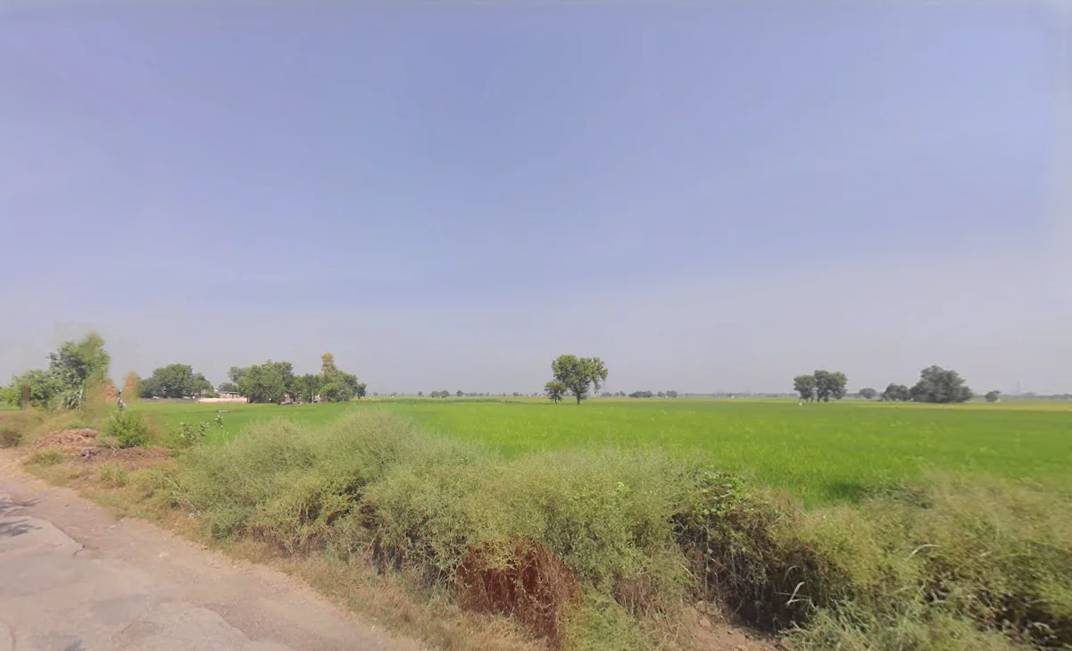 Hizarawan Khurd, Haryana 125050, India preview 3