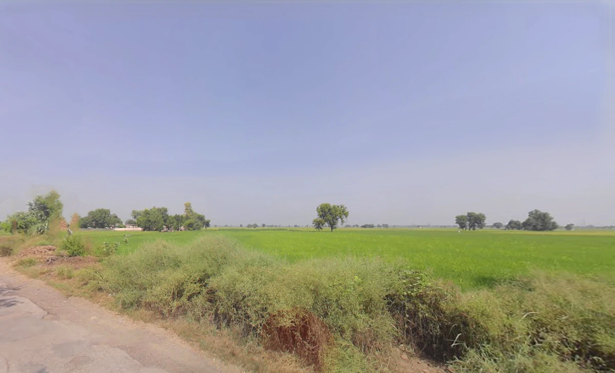 Hizarawan Khurd, Haryana 125050, India