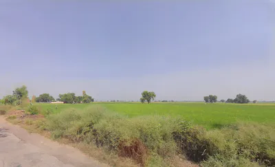 Hizarawan Khurd, Haryana 125050, India preview 3