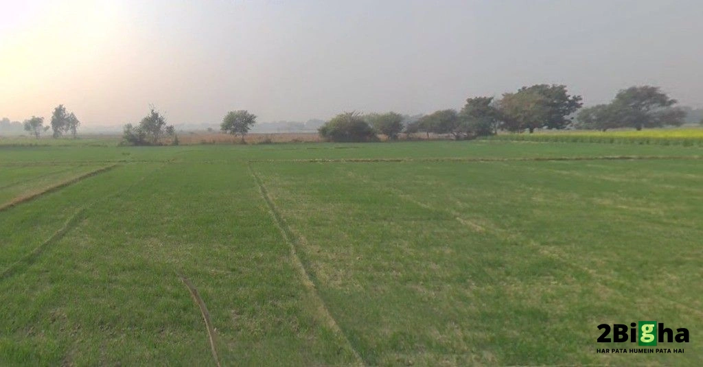 Sarojini Nagar, Lucknow, Uttar Pradesh, India