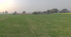 Sarojini Nagar, Lucknow, Uttar Pradesh, India preview 2