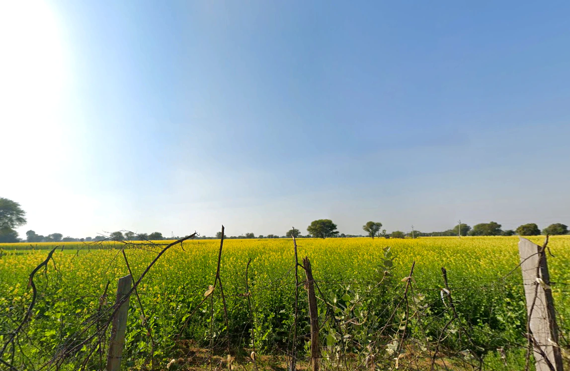 Kotkhawda, Rajasthan 303908, India