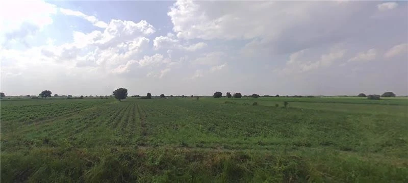 C478+VFG, Nani Moldi, Gujarat 363520, India