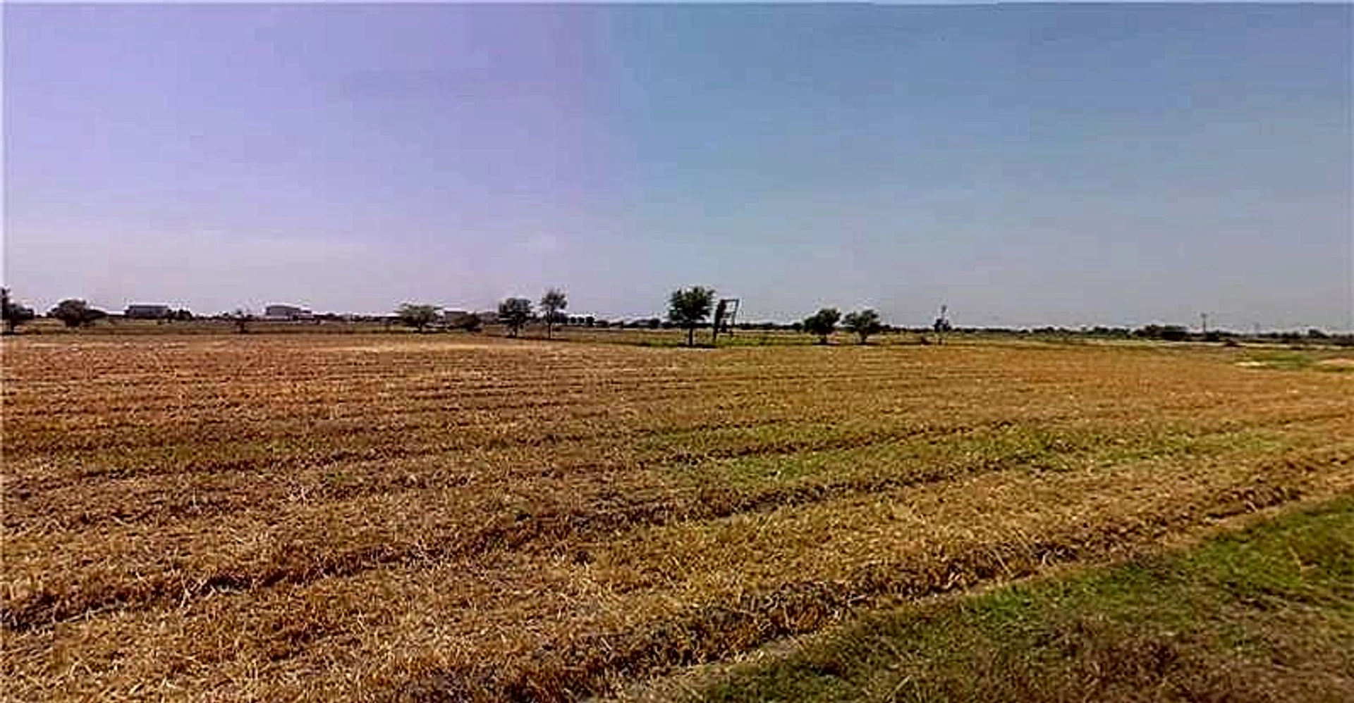 Shankheshwar, Gujarat 384246, India