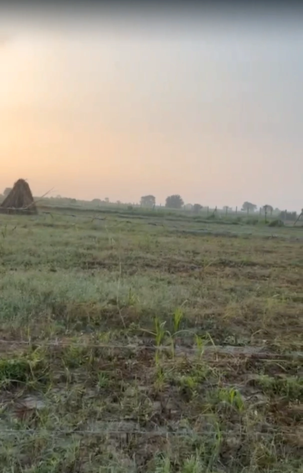 W78M+935, Bharatpur, Bhagvati Colony, Bayana, Rajasthan 321401, India