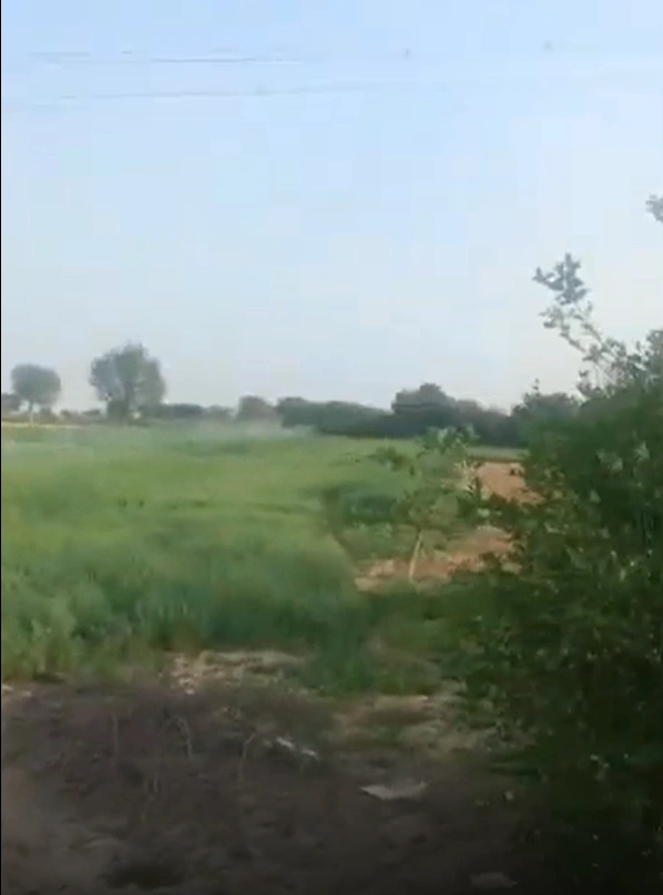 Bholasar Budhan, Bikaner, Rajasthan 334024, India