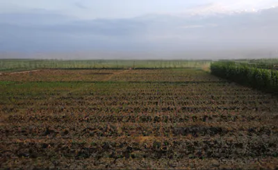 Rajhat, West Bengal 712148, India preview 3