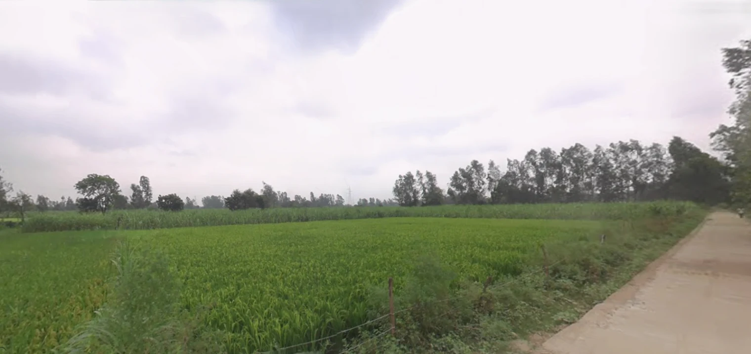 Chhutmalpur, Uttar Pradesh 247662, India