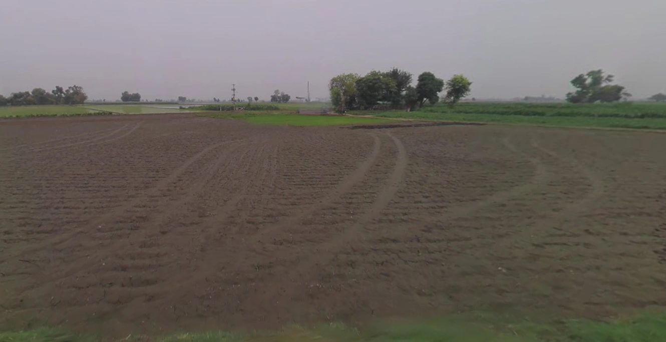 Katariya, Gujarat 363421, India