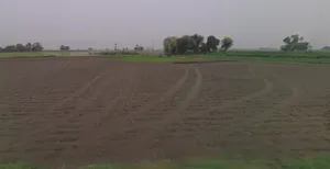 Katariya, Gujarat 363421, India preview 2