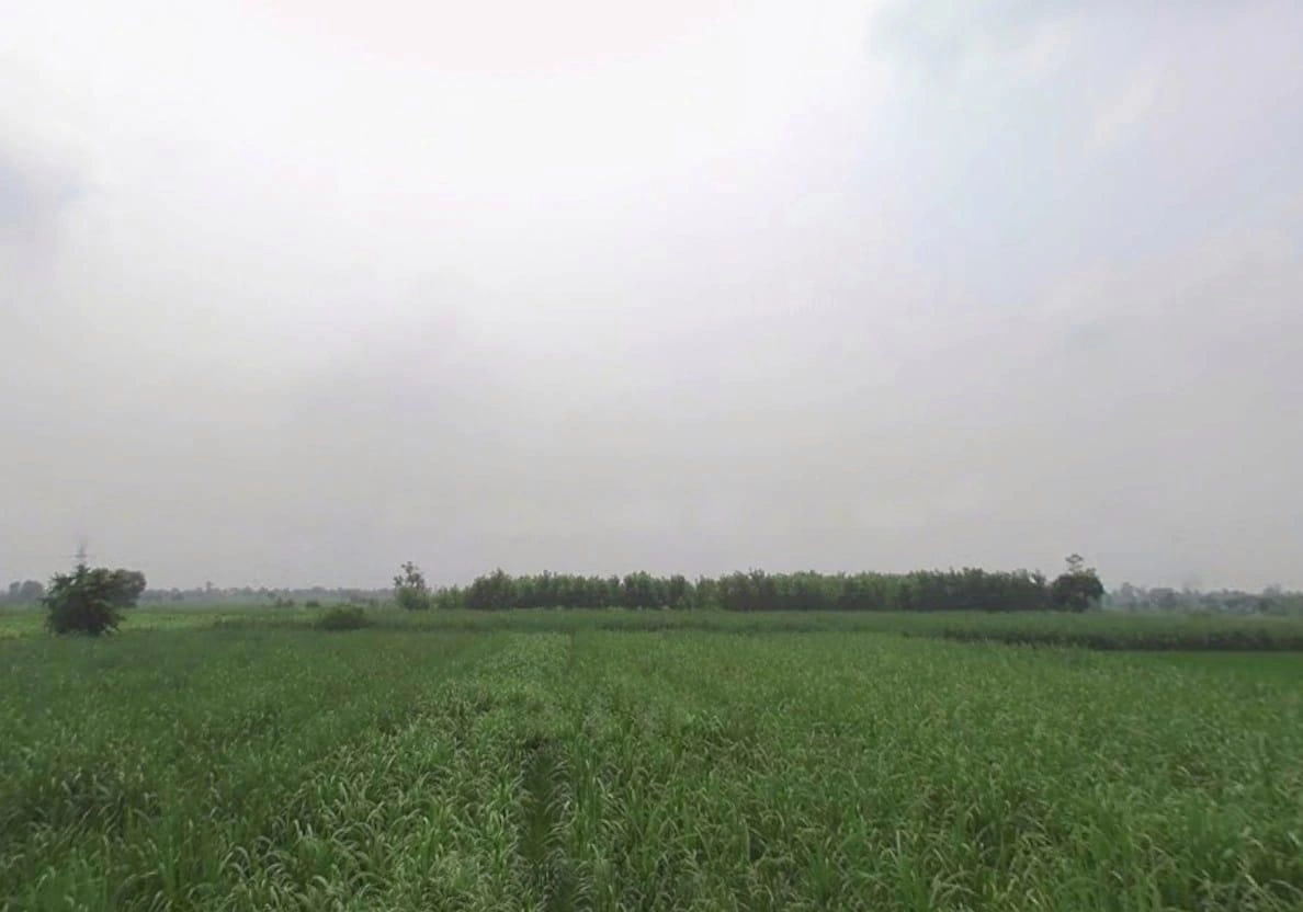 Painga, Uttar Pradesh 201204, India preview 3