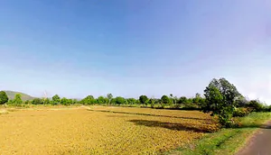 Agarpura, Rajasthan 311011, India preview 2