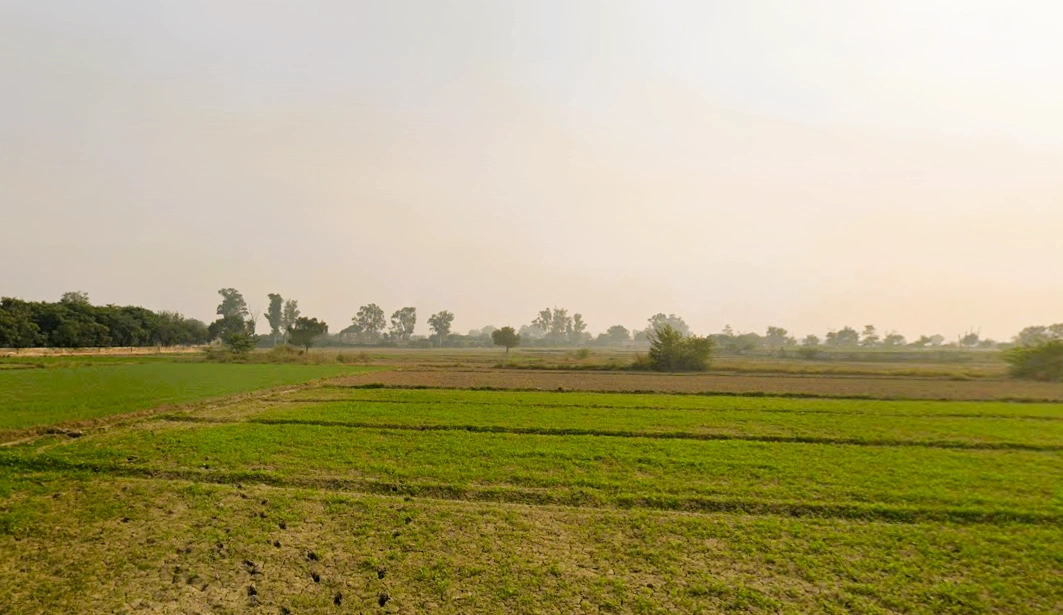 Sundarpur, Haryana 124514, India