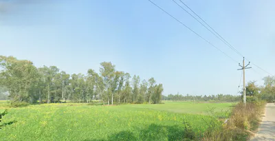Palia Kalan, Uttar Pradesh 262902, India preview 2