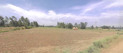 Mundia, Uttar Pradesh 244921, India preview 2