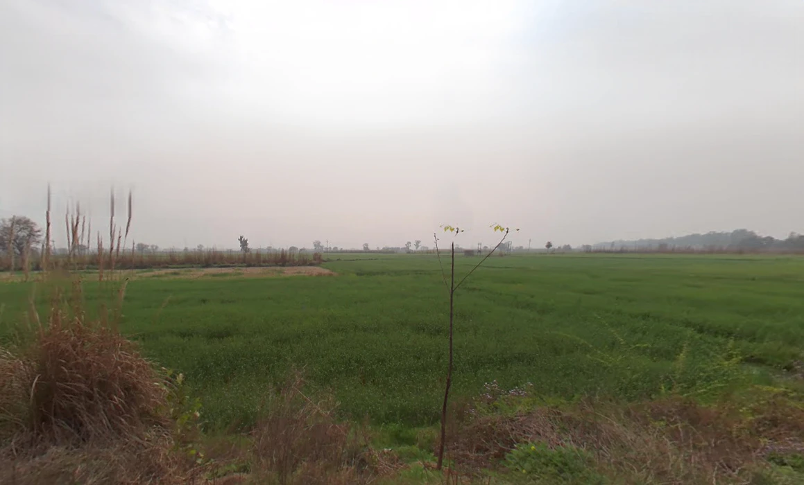 Salimsar Majra, Haryana 131022, India