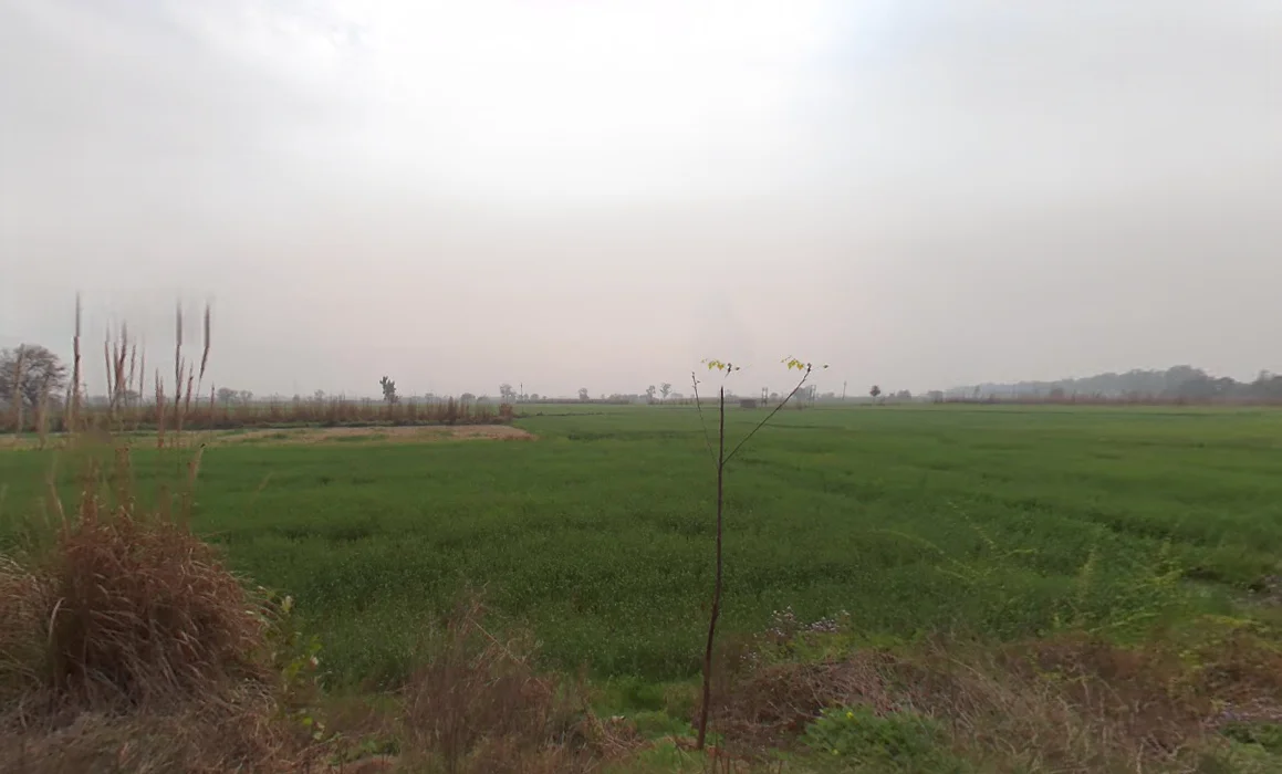 Salimsar Majra, Haryana 131022, India preview 3