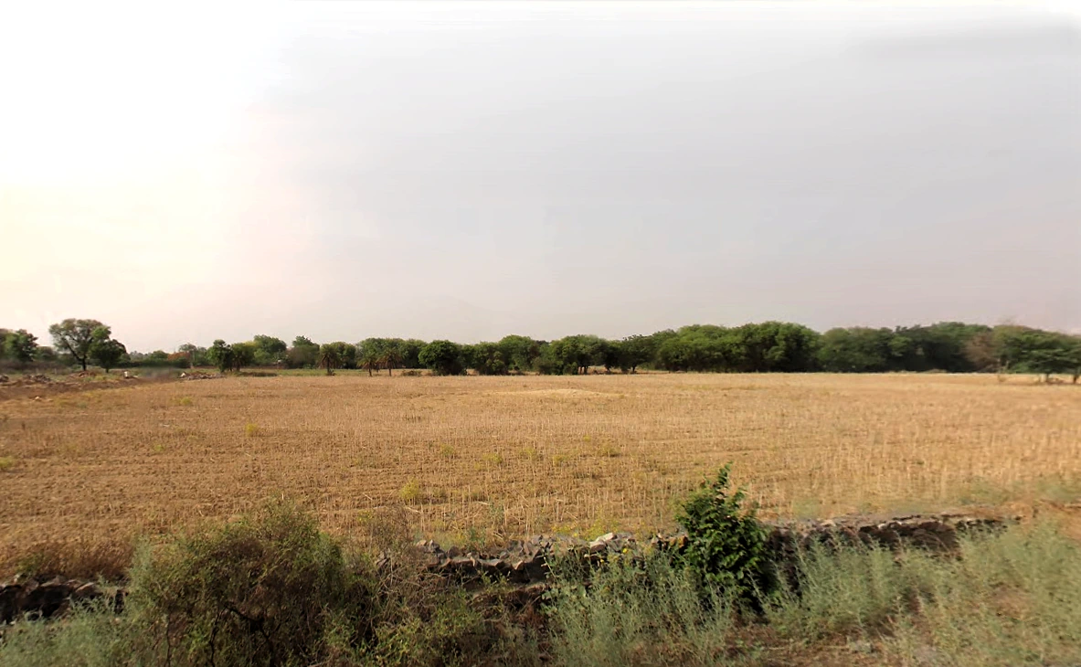 Tethar, Haryana, India