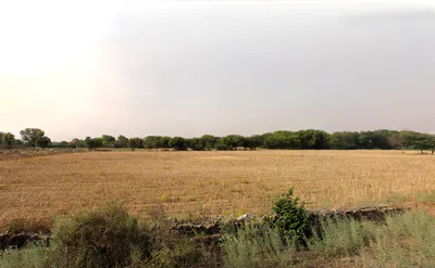 Tethar, Haryana, India preview 3