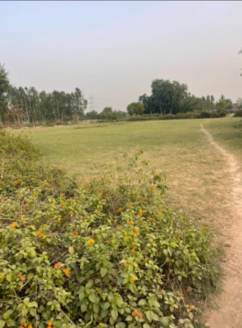 CC2V+MP4, Faridabad, Amipur, Haryana 121101, India