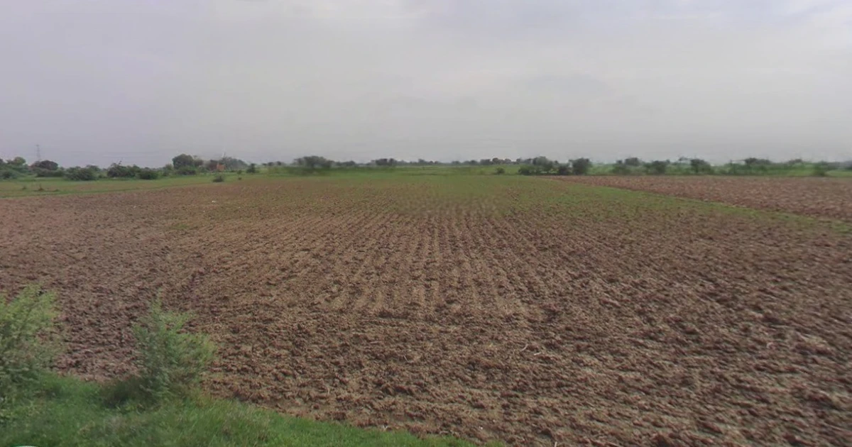 Charkhi Dadri, Haryana 127306, India