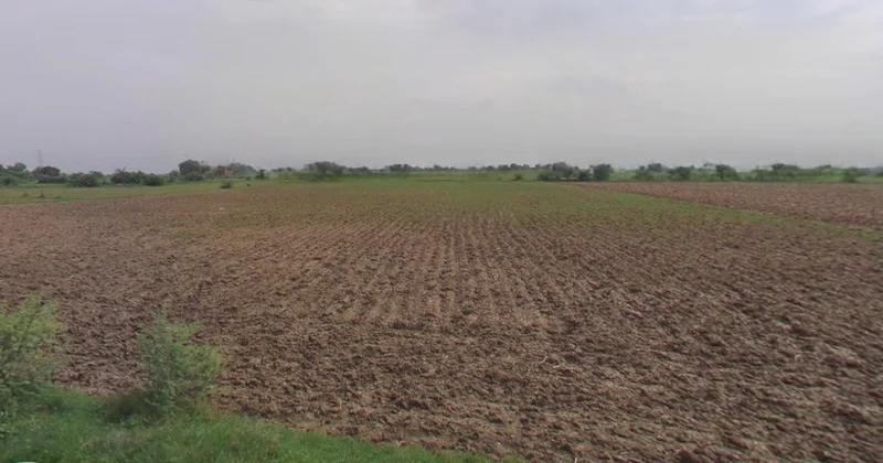 Charkhi Dadri, Haryana 127306, India preview 2