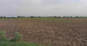 Charkhi Dadri, Haryana 127306, India preview 2