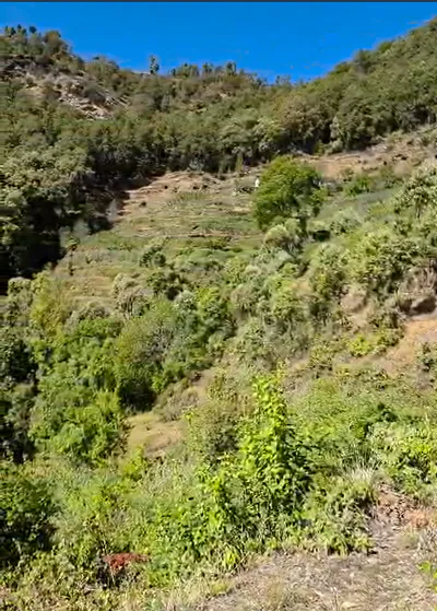 CJWJ+7Q4, Sunkiya, Uttarakhand 263138, India preview 2