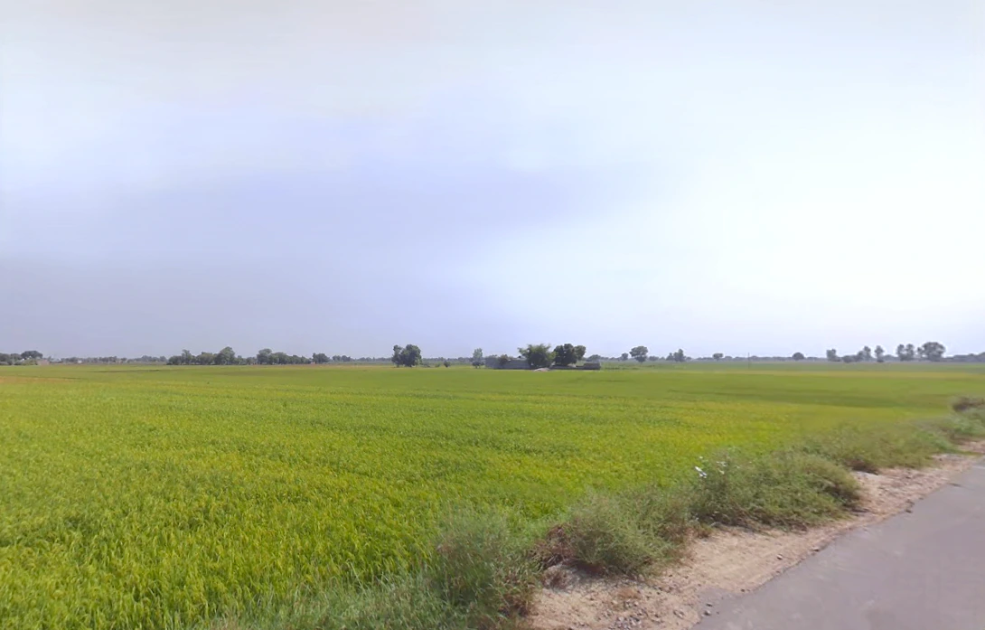 Ellenabad, Haryana 125102, India