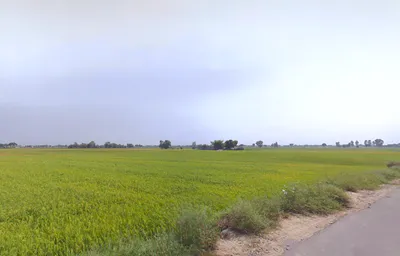 Ellenabad, Haryana 125102, India preview 2