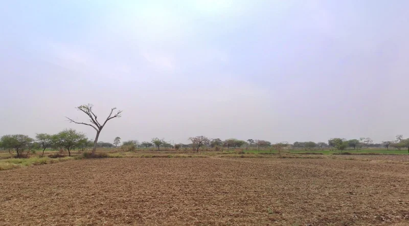 Dhaba, Chhattisgarh 490042, India preview 3