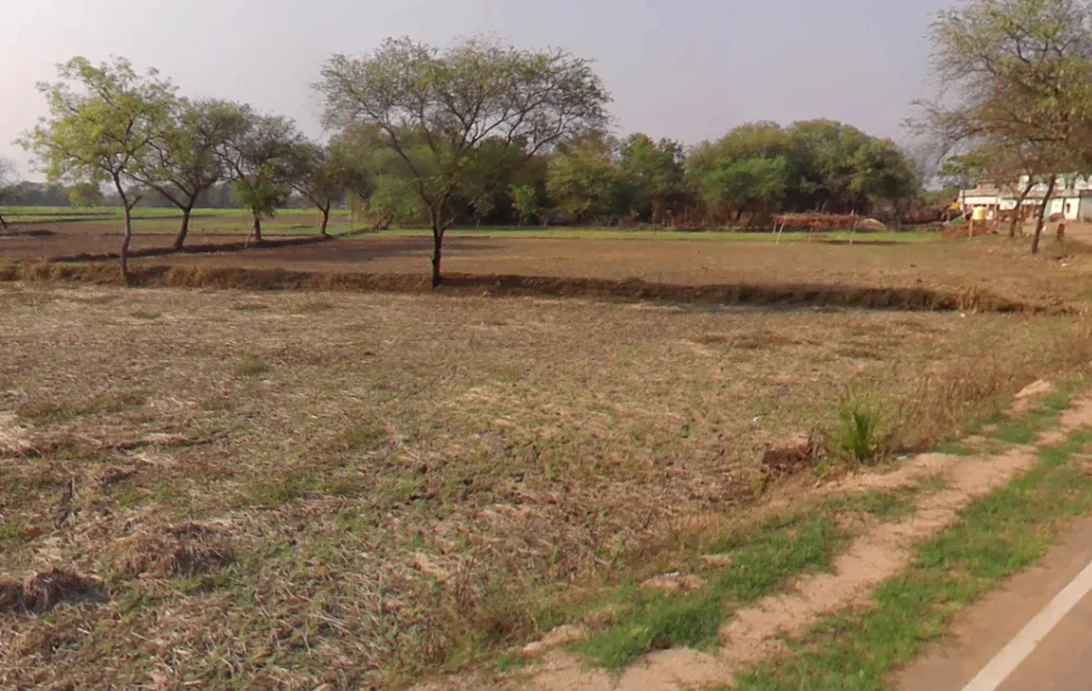 Chandia Pathra, Chhattisgarh 493101, India preview 3