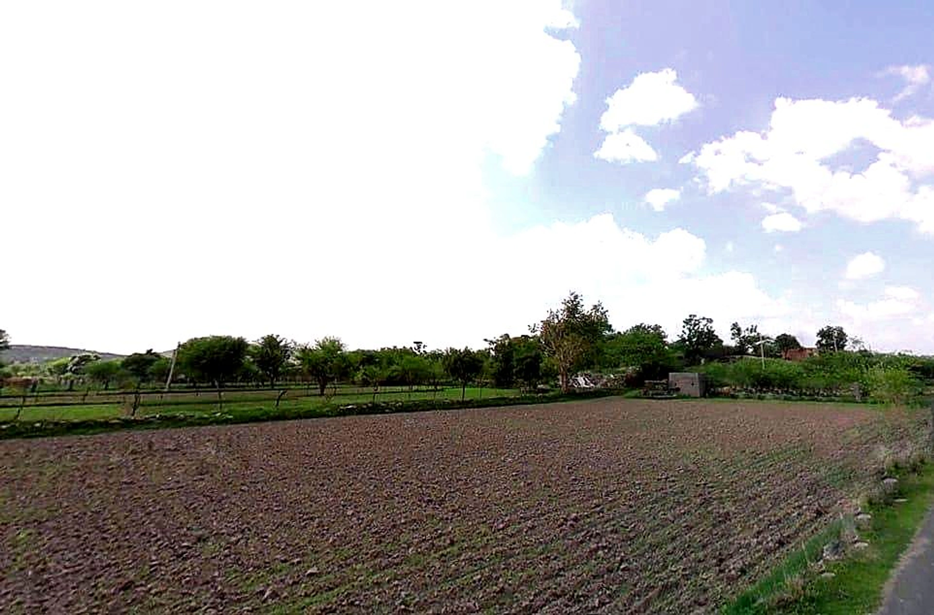 Tekri, Madhya Pradesh 481222, India