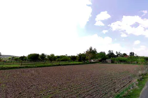 Tekri, Madhya Pradesh 481222, India preview 2