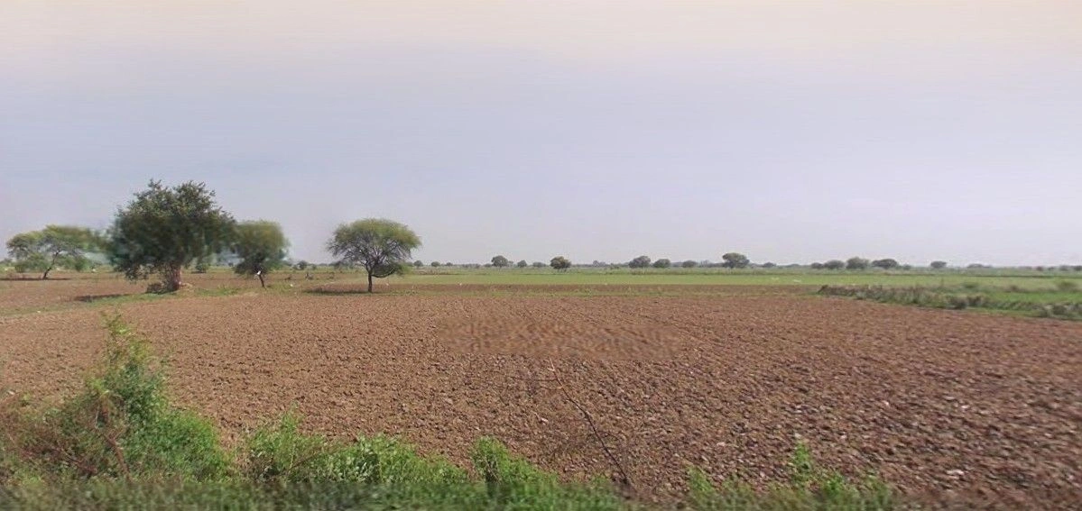 Rampur Maniharan, Uttar Pradesh 247451, India