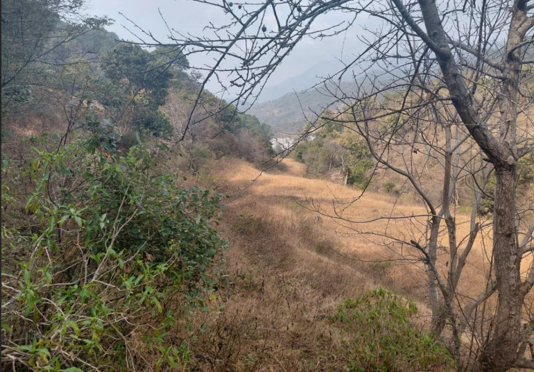 Nahan, Himachal Pradesh 173001, India