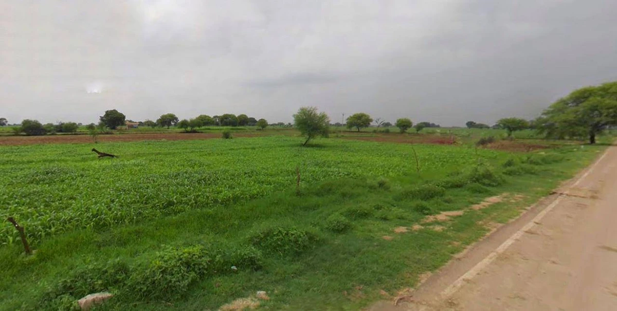 Kothi, Madhya Pradesh 485666, India