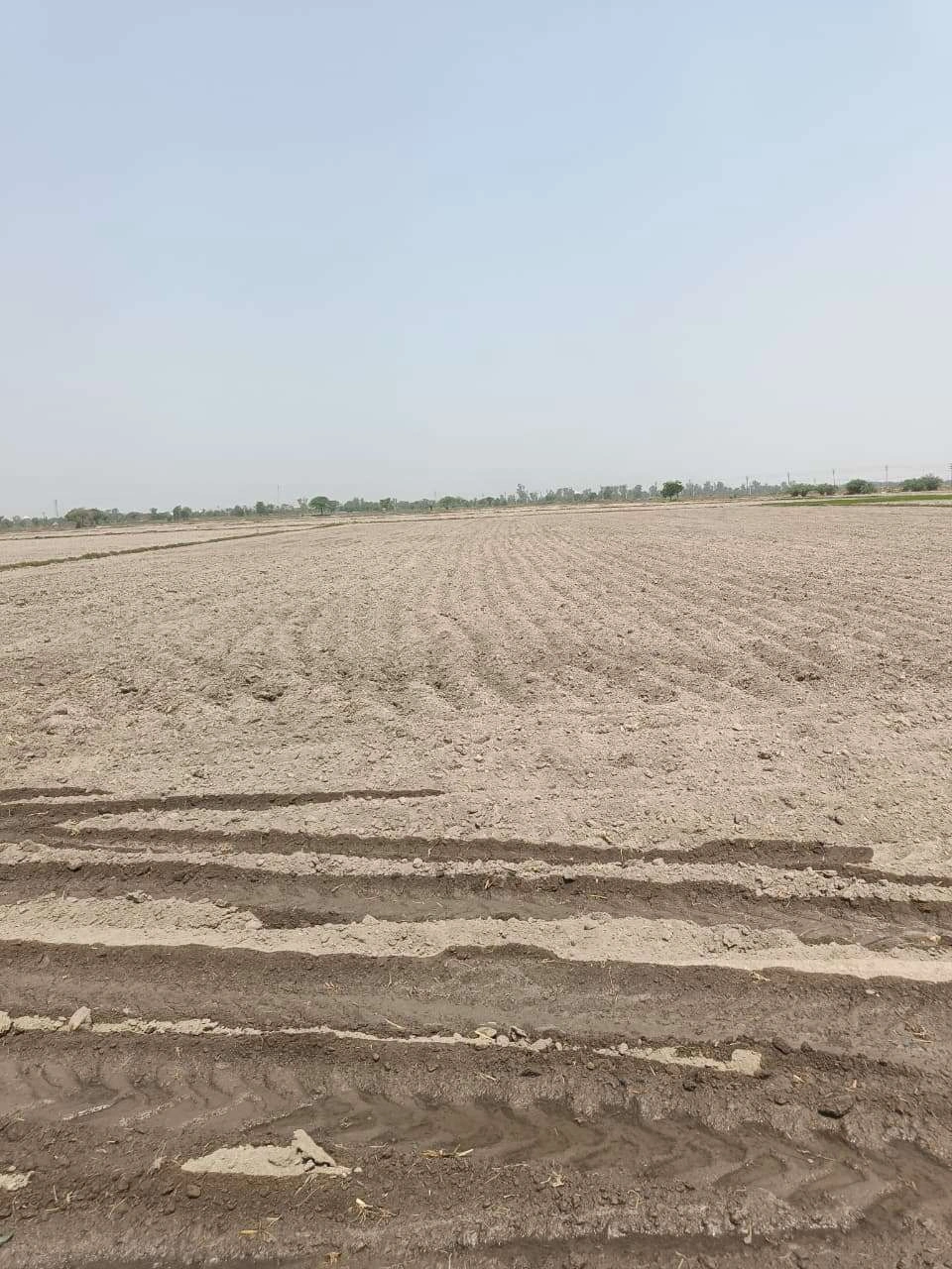 Sahar, Uttar Pradesh, India preview 2