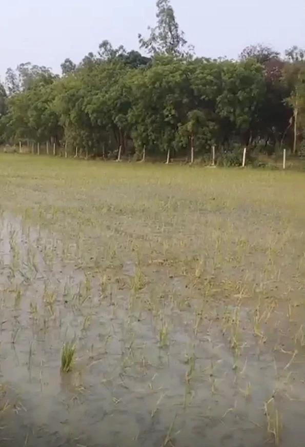 Tilhar, Shahjahanpur, Uttar Pradesh 242307, India