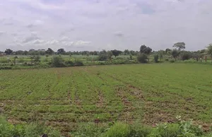 Khanuan, Rajasthan 321404, India preview 2