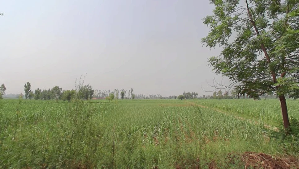 Jhunjhuni, Uttar Pradesh 250401, India