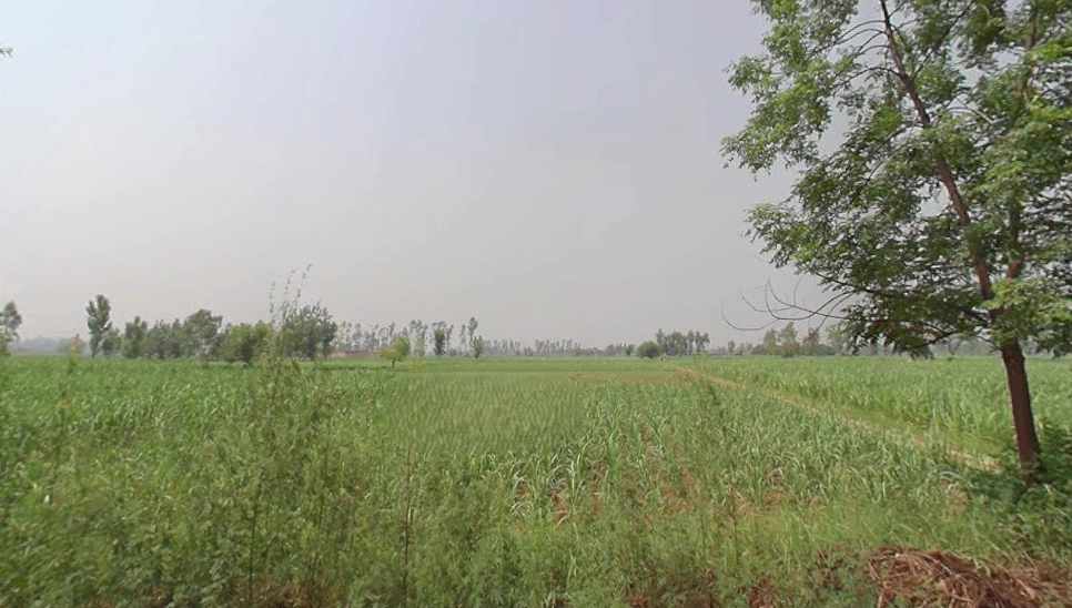 Jhunjhuni, Uttar Pradesh 250401, India