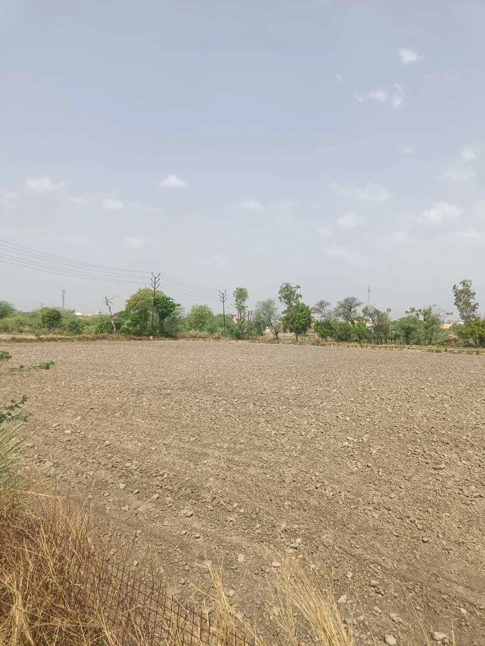 Aou, Rajasthan, India