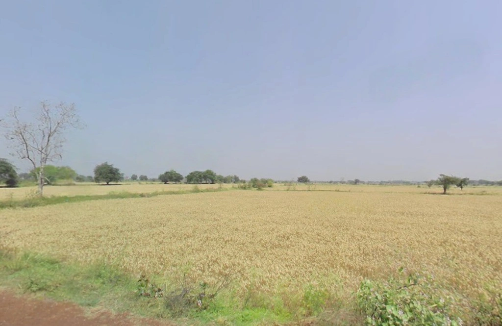 PG7P+J69, Simga - Kawardha Rd, Berla, Bemetara, Chhattisgarh 491335, India