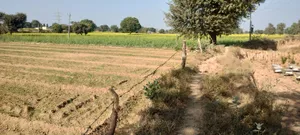 Jugrawar, Rajasthan, India preview 2