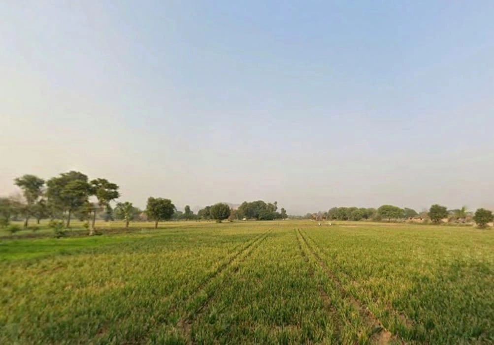 RMH4+JFW, Jhai, Rajasthan, India